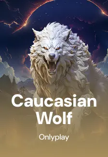 Caucasian Wolf