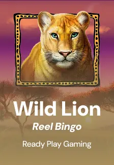 Wild Lion Reel Bingo